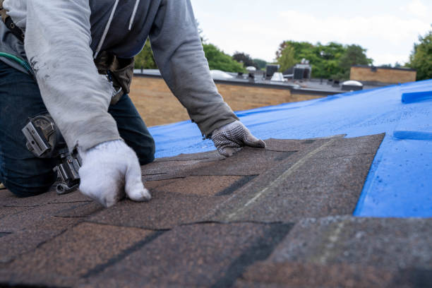 Professional Roofing Contractor in Kayak Point, WA