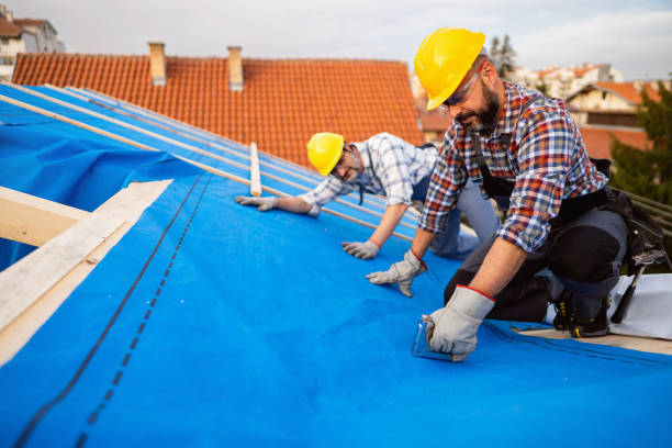 Best Metal Roofing Contractor  in Kayak Point, WA