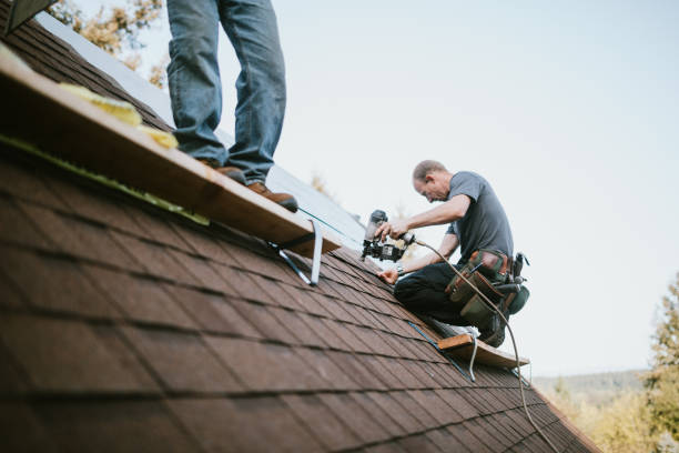 Best Local Roofing Companies  in Kayak Point, WA