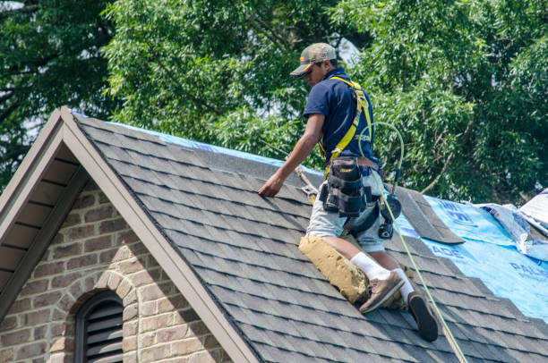 Best Roof Leak Repair  in Kayak Point, WA
